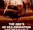 The ABC’s of Sex Education for Trainable Persons