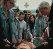 Tigre