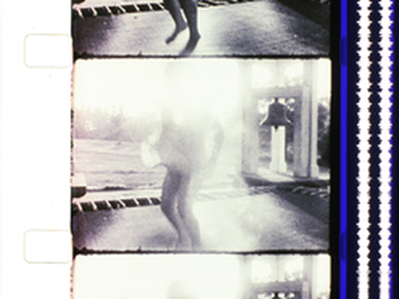 Foto 1 de Report from Millbrook