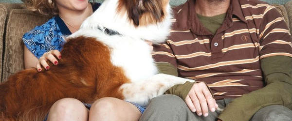 Crítica: Mato sem cachorro