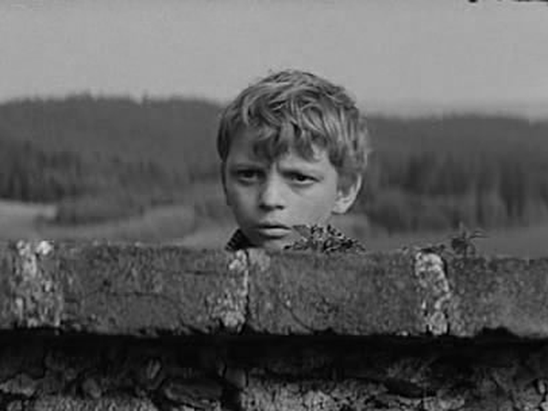 Foto 15 de Viva a República