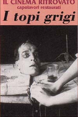 The Grey Rats (I topi grigi)