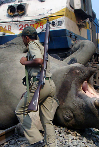 Poster 1 de Curta O Planeta Terra é Você (2013)