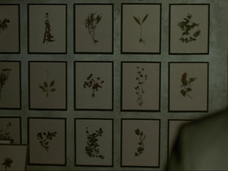 Foto 9 de Millennium: Os Homens que Não Amavam as Mulheres