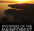 Mistérios da Floresta