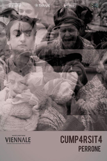 Cump4rsit4 (Cump4rsit4)