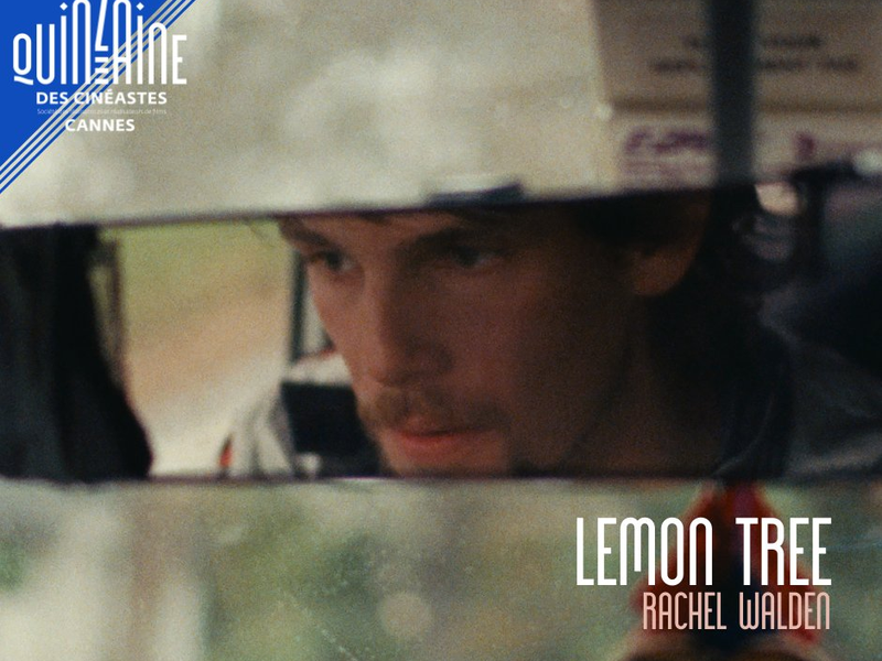 Foto 1 de Lemon Tree