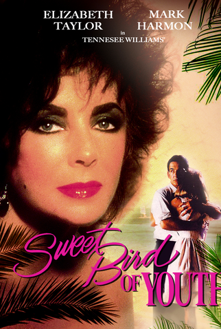 Poster 3 de Filme Doce Pássaro da Juventude (1989)