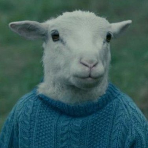 Foto de perfil de Cordeiro de Roupinha