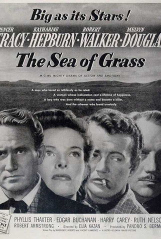 Poster 4 de Filme Mar Verde (1947)