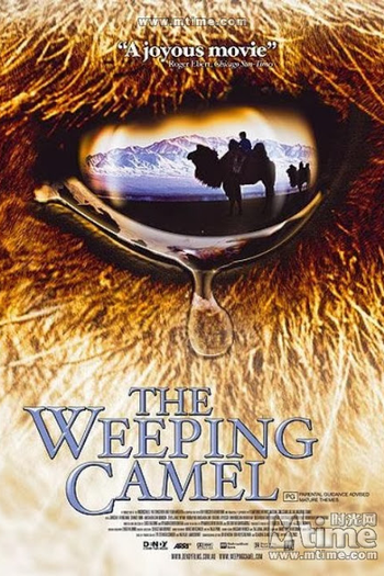  de Filme Camelos Também Choram (2003)