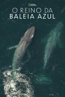 O Reino da Baleia Azul - Poster / Capa / Cartaz - Oficial 2