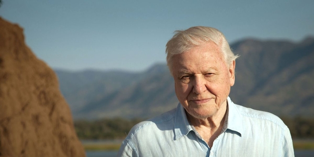 David Attenborough travels to seven continents for new BBC series