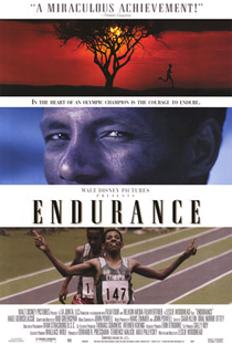 Endurance - Poster / Capa / Cartaz - Oficial 1
