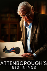 Os Grandes Pássaros de Attenborough (Attenborough's Big Birds)