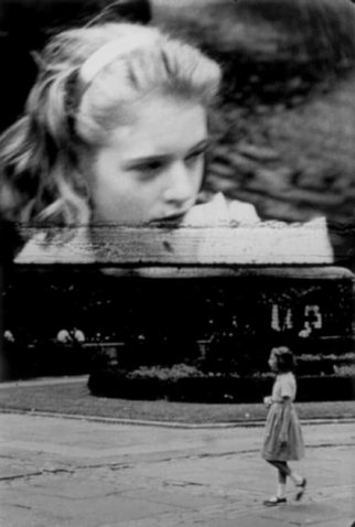 Poster 1 de Curta Nymphlight (1957)