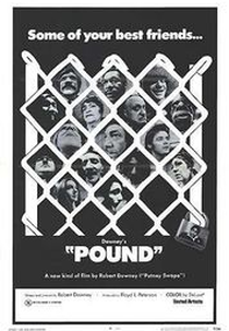 Pound (Pound)