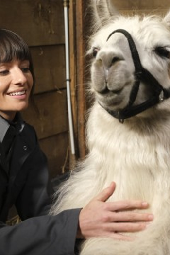 Poster de Episódio Skunks and Llamas (2023)