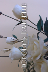 Nobody's Daughter (Nobody's Daughter)