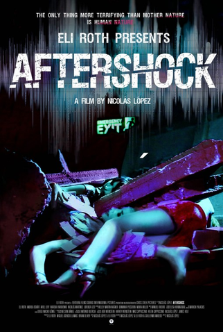 Poster 2 de Filme Aftershock (2012)
