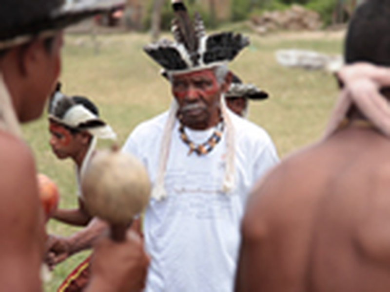 Foto 2 de Virando Bicho