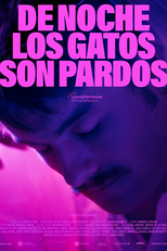 À noite todos os gatos são pardos (De Noche Los Gatos Son Pardos)