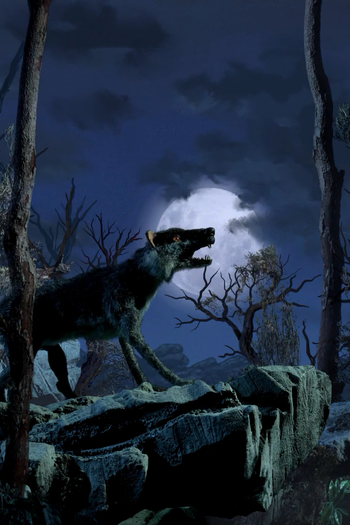 Poster de Curta Wolf Moon (2020)