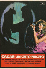 Cazar un Gato Negro (Cazar un gato negro)