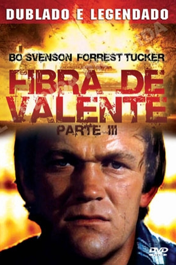  de Filme Fibra de Valente 3 (1977)