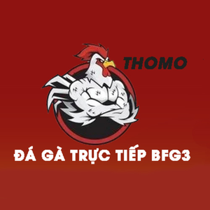 Foto de perfil de dagatructiepbfg