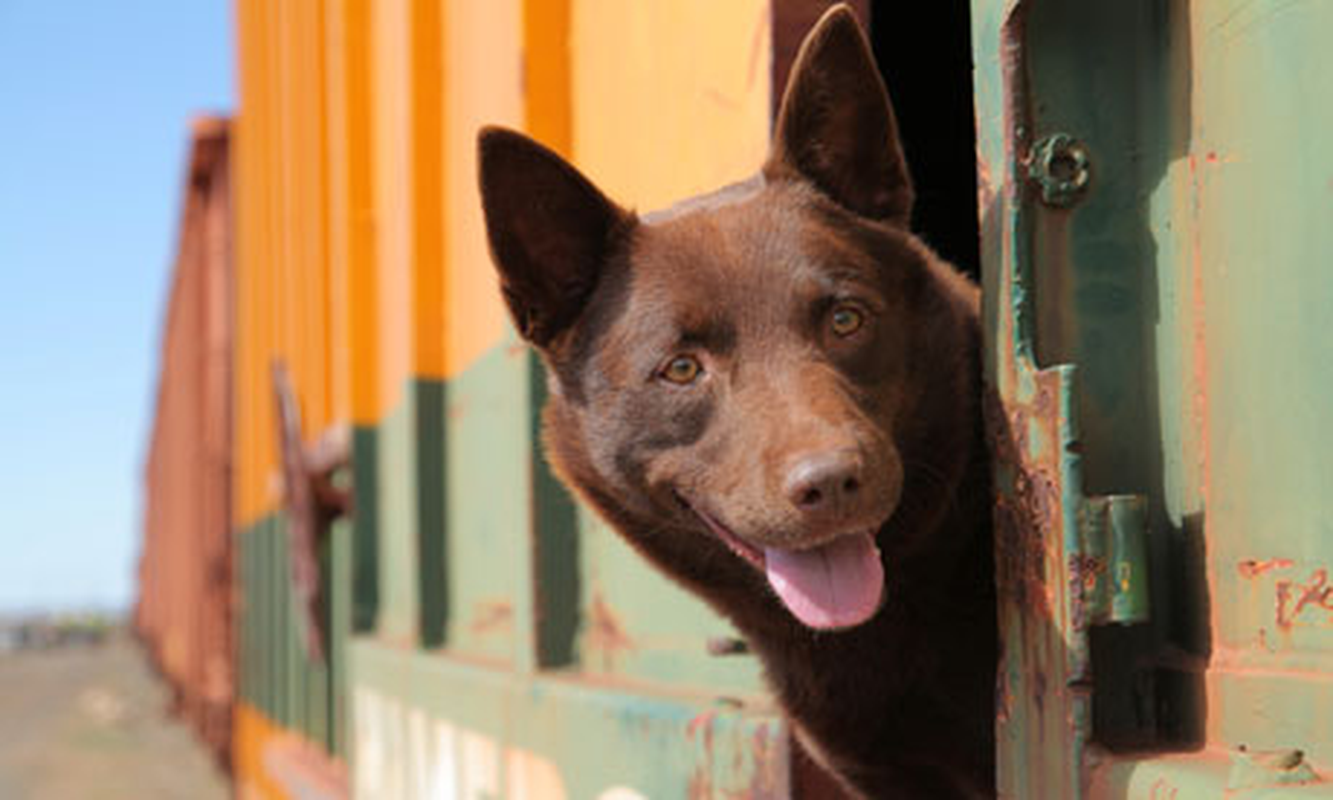Renan - Foto 3