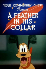 A Feather in His Collar (A Feather in His Collar)