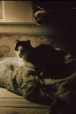 My Cat, My Garden, and 9/11 (My Cat, My Garden, and 9/11)