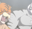 Four Tigers