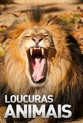 Poster 1 de Série Loucuras Animais (2014)