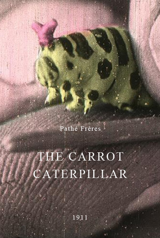 Poster 1 de Curta The Carrot Caterpillar (1911)