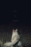 Ao Cair da Noite (It Comes At Night)