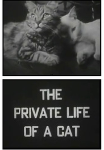 The Private Life of a Cat (The Private Life of a Cat)