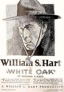 White Oak (White Oak)