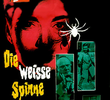 Die weiße Spinne
