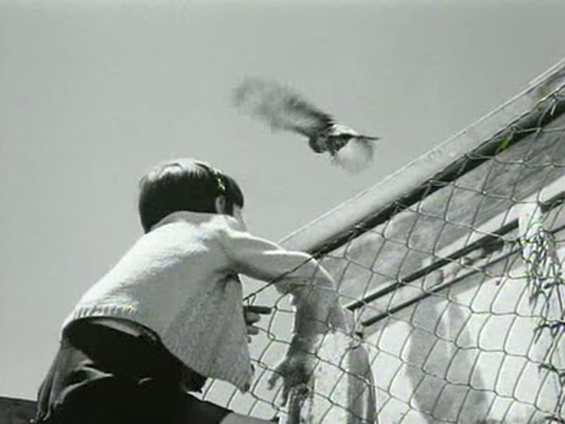 Foto 13 de Largo viaje 