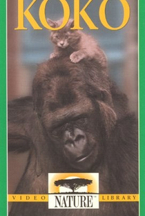 A Conversation With Koko The Gorilla - Poster / Capa / Cartaz - Oficial 1