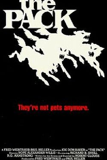  de Filme A Longa Noite de Terror (1977)