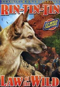 Dominador das Selvas (The Law of The Wild)