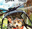 A Doggone Hollywood