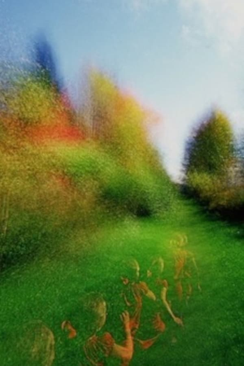 Poster de Curta Brouillard: Passage #14 (2013)