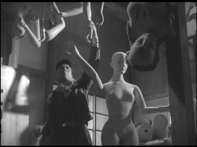 Foto 5 de Vampire Moth