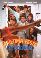 A Última Festa de Solteiro