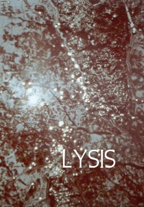 Lysis (Lysis)