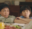 15회